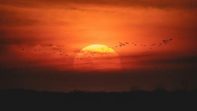 Науковці попереджають про можливі магнітні бурі в останні дні серпня